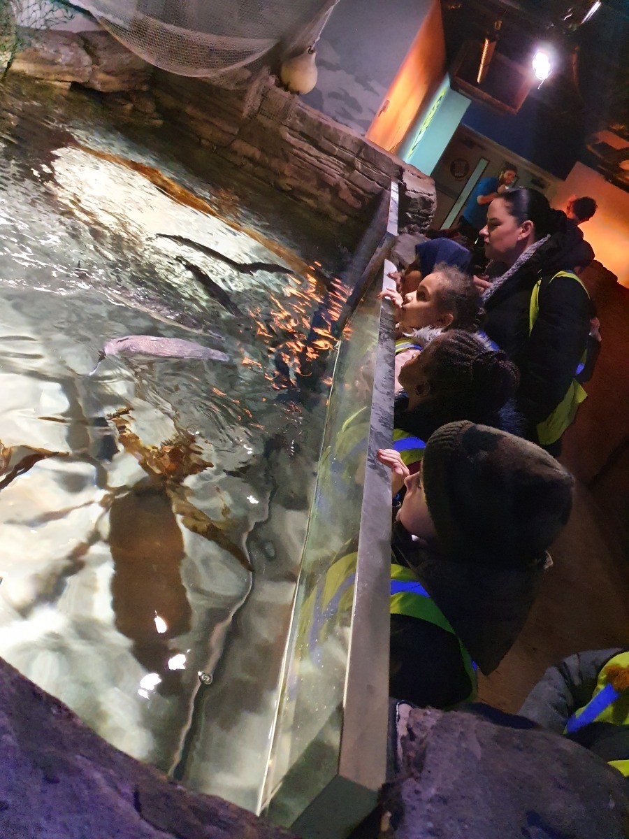 school trips to london aquarium